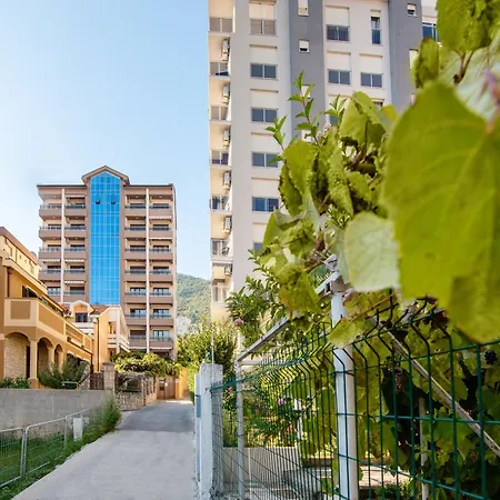 Gosposhtina 219 Апартаменты Будва